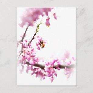 Redbud & honeybee in Springtime Invitation Postcard