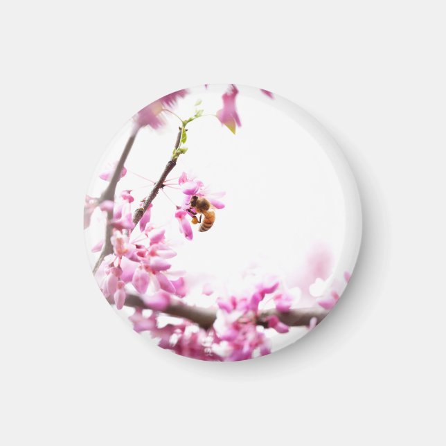 Redbud & honeybee in Springtime Magnet (Front)