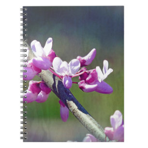 RedBud Notebook