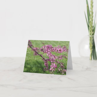 Redbud Thank You Card