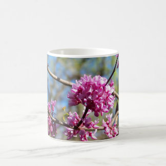 Redbud Tree is Blooming Coffee Mug