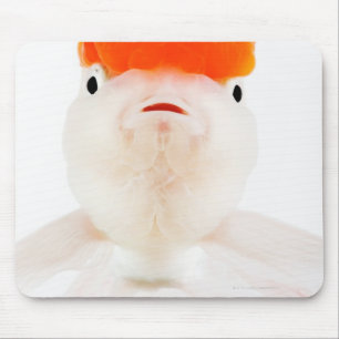 Redcap lionhead goldfish (Carassius auratus) Mouse Pad
