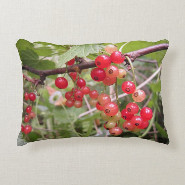 Redcurrant Accent Pillow (Front)