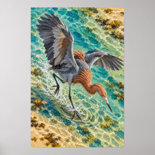 Reddish Egret – South Texas Coastal Bird Art Poster