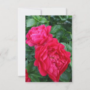 Reddish Pink Peony Card