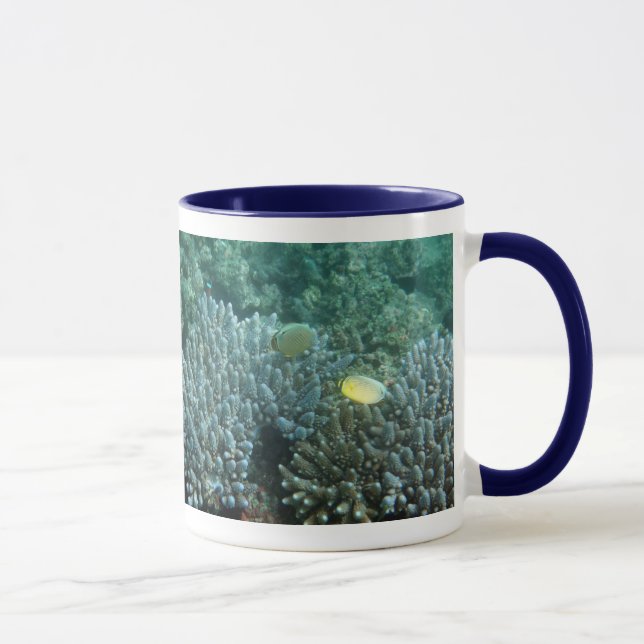 Redfin Butterflyfish (Chaetodon lunulatus) Mug (Right)