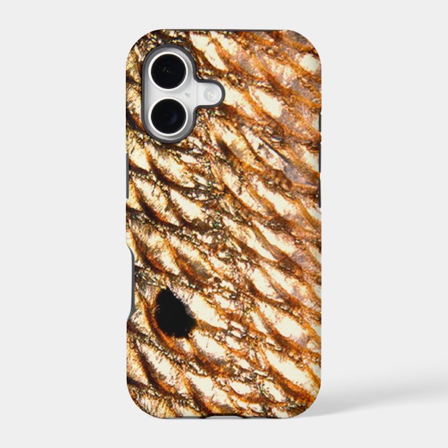 Redfish by Patternwear© Fly Fishing (Back)