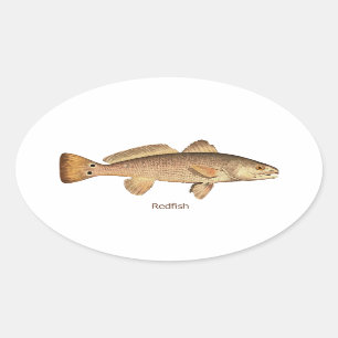 Redfish Logo Oval Sticker