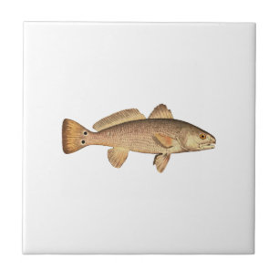 Redfish Logo Tile
