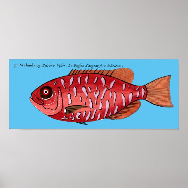 Redfish on any background poster (Front)