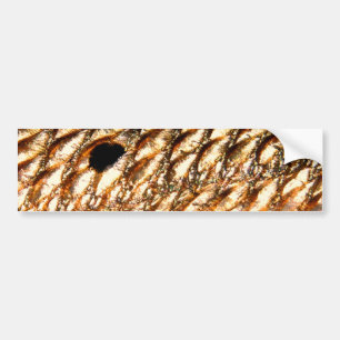 "Redfish" - Red Drum by PatternWear© Bumper Sticker