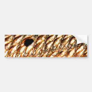 "Redfish" - Red Drum by PatternWear© Bumper Sticker