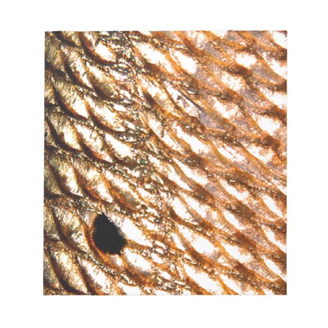 "Redfish" - Red Drum by PatternWear© Notepad (Front)