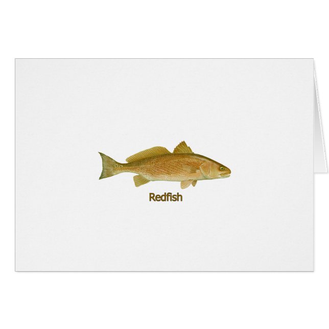 Redfish (titled) (Front Horizontal)