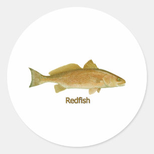 Redfish (titled) classic round sticker