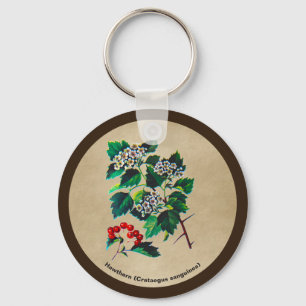 Redhaw Hawthorn On Old Paper Key Ring