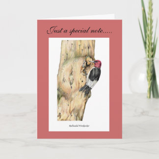 Redheaded Woodpecker Thank You Card