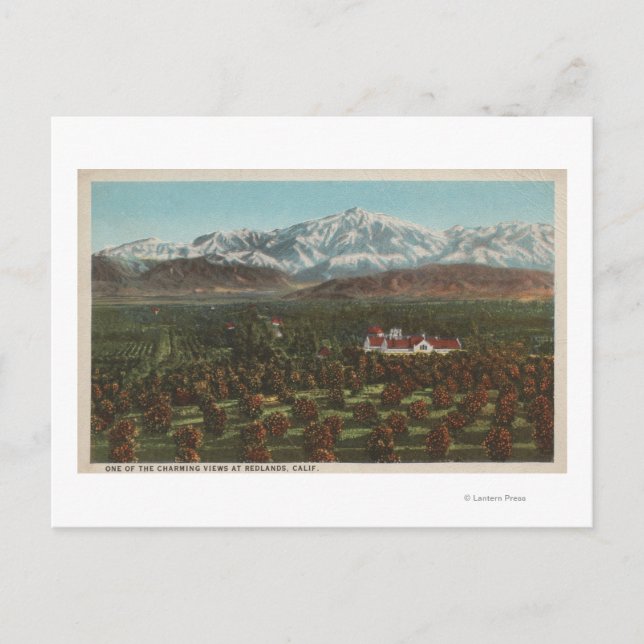 Redlands, CA - Mountain & Orchard Scene Postcard (Front)