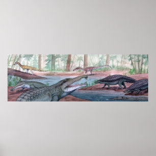 Redonda Formation Print