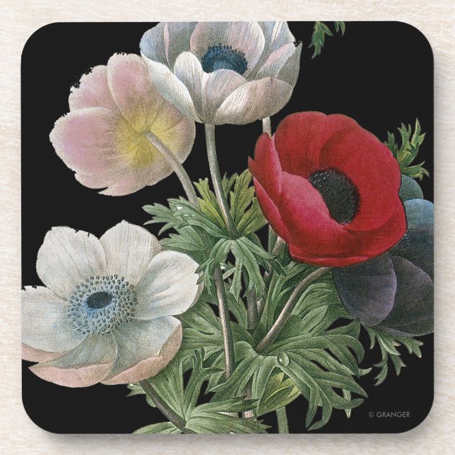 Redoute: Anemone, 1833 Coaster (Front)