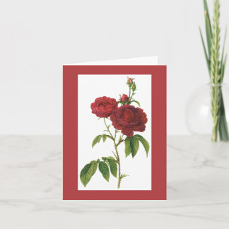 Redoute Bishop Rose Notecard
