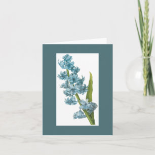 Redoute Blue Hyacinth Notecard