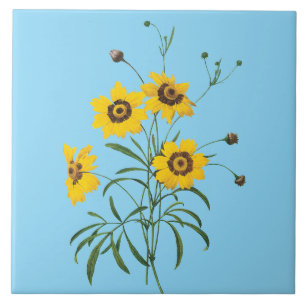  Redoute Coreopsis Flower Tile