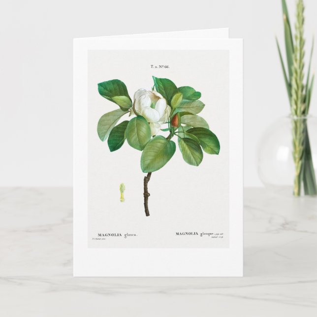REDOUTÉ CUSTOMISABLE BOTANICAL GREETING CARD (Front)
