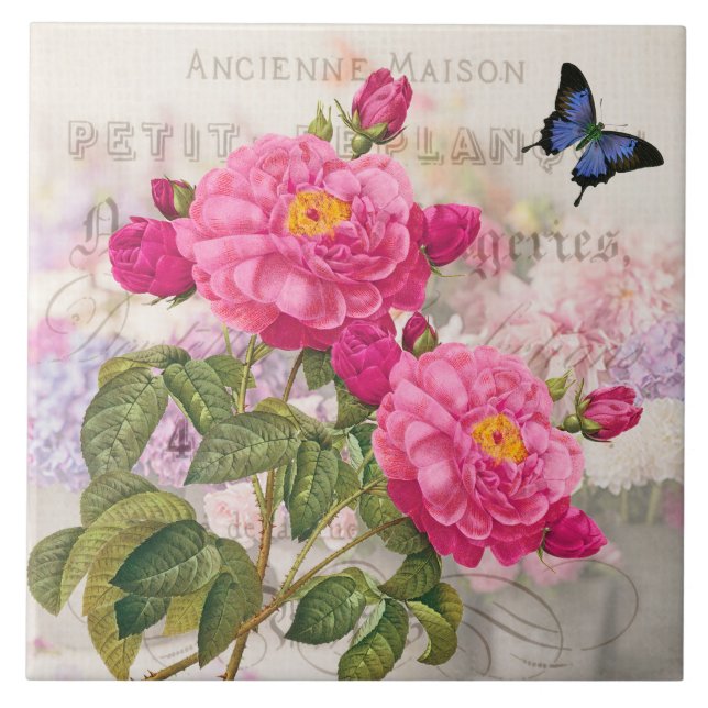 Redoute French Pink Roses Ceramic Tile (Front)