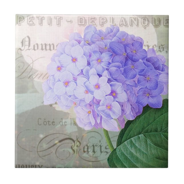 Redoute Hydrangea French Accent Ceramic Tile (Front)