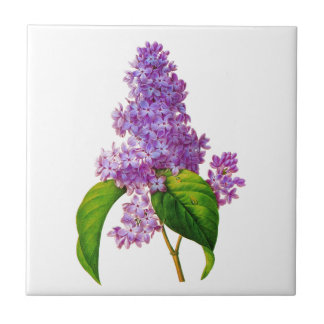 Redoute Lilacs Ceramic Tile