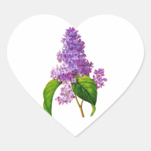 Redoute Lilacs Heart Sticker