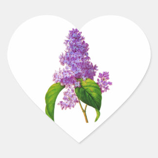Redoute Lilacs Heart Sticker
