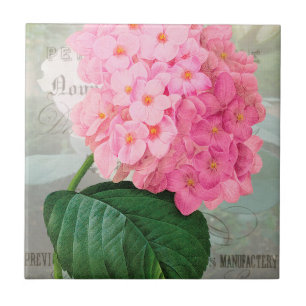 Redoute Pink Hydrangea Ceramic Tile