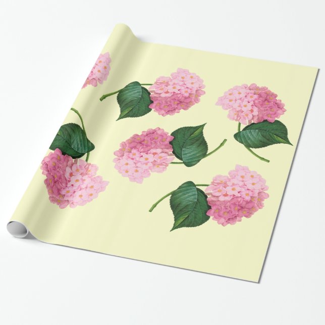 Redoute Pink Hydrangea Wrapping Paper (Unrolled)