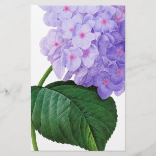 Redoute Purple Hydrangea Stationery