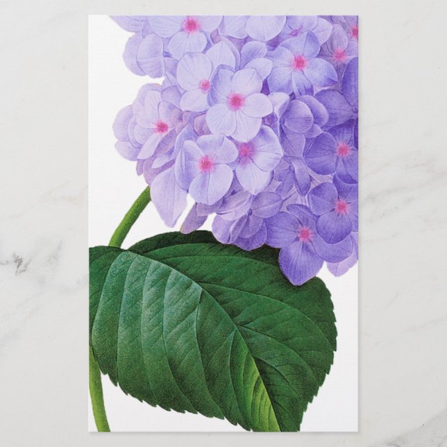 Redoute Purple Hydrangea Stationery (Front)