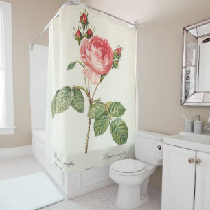 Redoute Rosa Centifolia Shower Curtain
