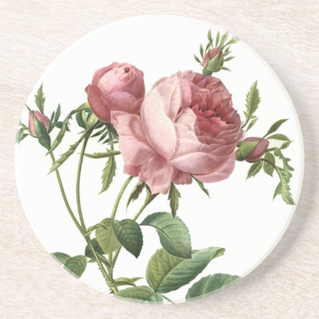 Redoute Rose Coaster (Front)