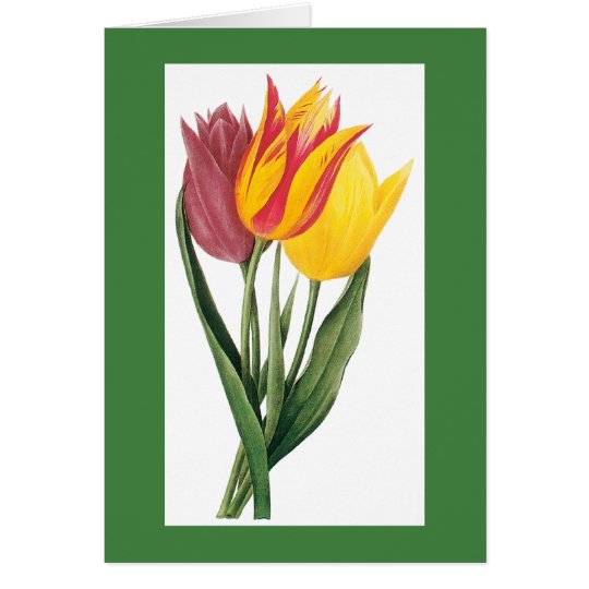 Redoute Tulip Notecard