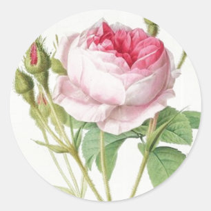 Redoute Vintage Rose Circle Shape Stickers