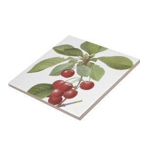 Redoutés' Royal Cherry Ceramic Tile