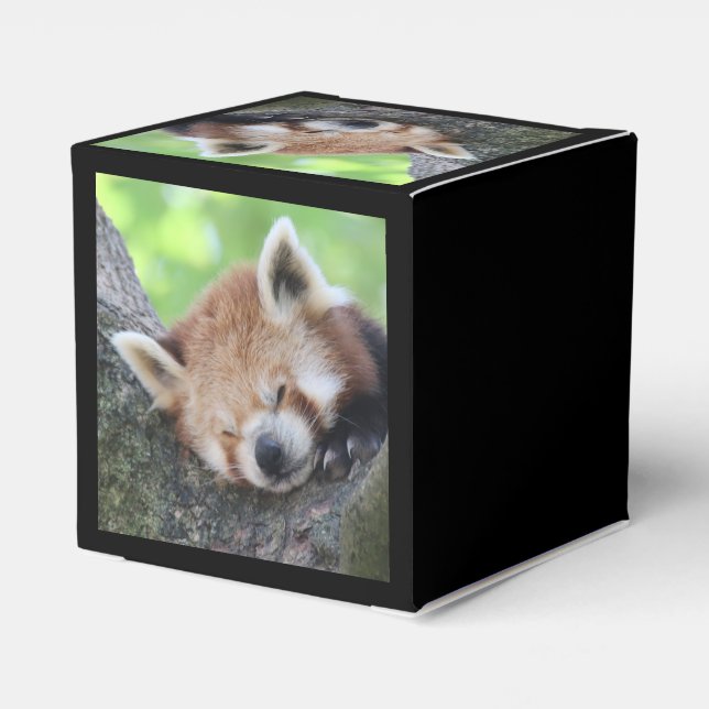 RedPanda20150705.jpg Favour Box (Back Side)