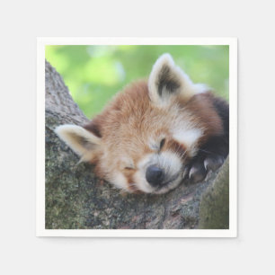 RedPanda20150705 Napkin