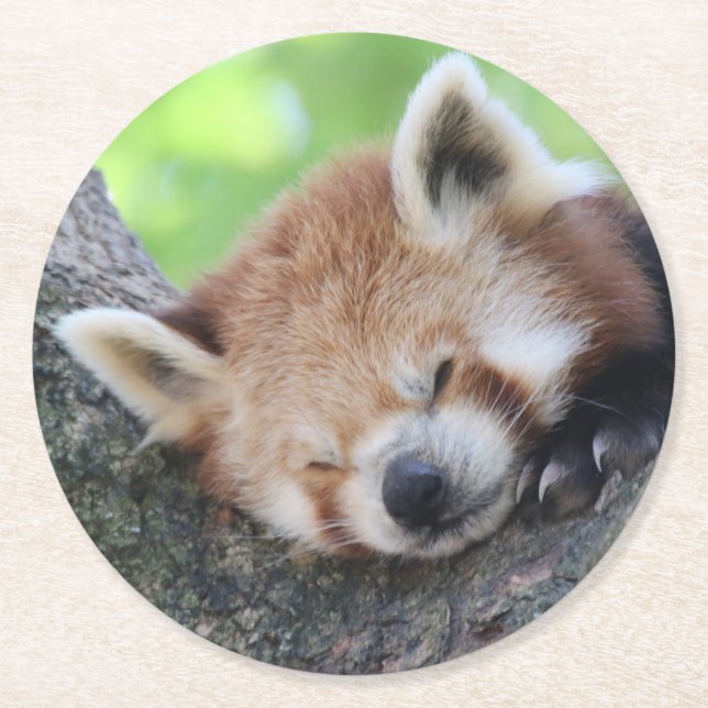 RedPanda20150705 Round Paper Coaster (Front)