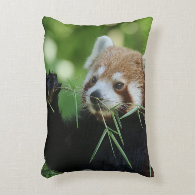 RedPanda 002 Decorative Cushion (Front(Vertical))