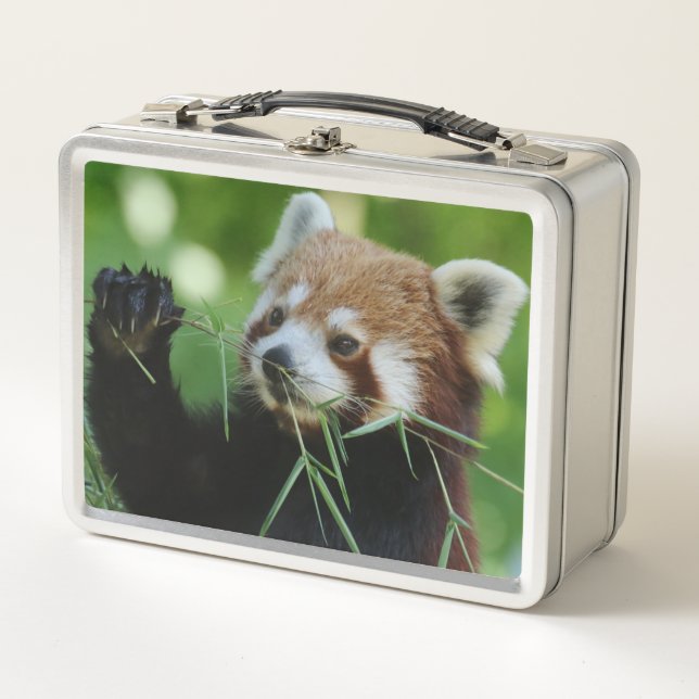 RedPanda 002 Metal Lunch Box (Front)