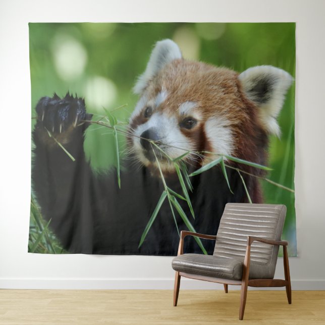 RedPanda 002 Tapestry (In Situ (Horizontal))