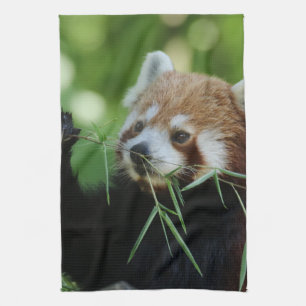 RedPanda 002 Tea Towel