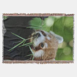 RedPanda 002 Throw Blanket